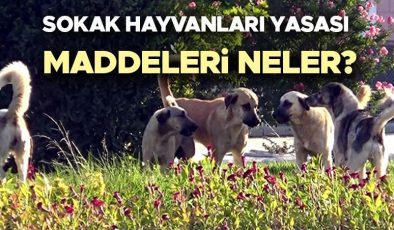 Sokak hayvanları uyutulacak mı? Sokak hayvanları yasası maddeleri neler? Gözler TBMM’de! Cumhurbaşkanı Erdoğan’dan başıboş sokak köpekleri ile ilgili son dakika açıklama!